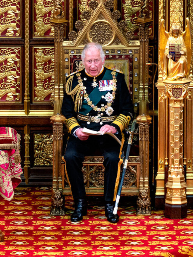 King Charles is heard saying ‘dear oh dear’